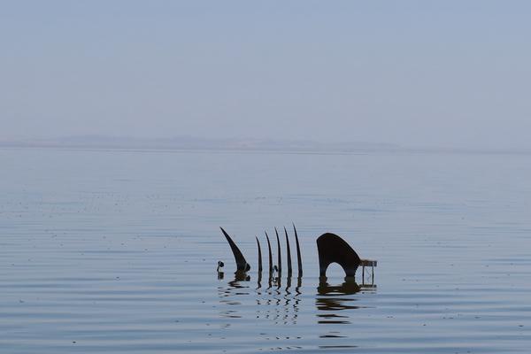 Customer photo 3 of 4. Click to open full size image.