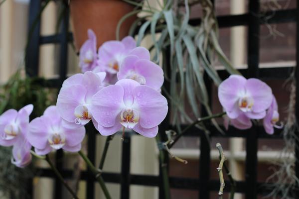 Customer photo 2 of 6. Click to open full size image.