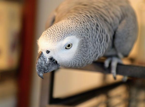 Customer photo 1 of 2. Click to open full size image.