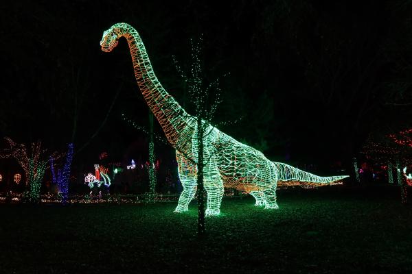 Customer photo 5 of 6. Click to open full size image.