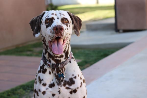 Customer photo 2 of 5. Click to open full size image.