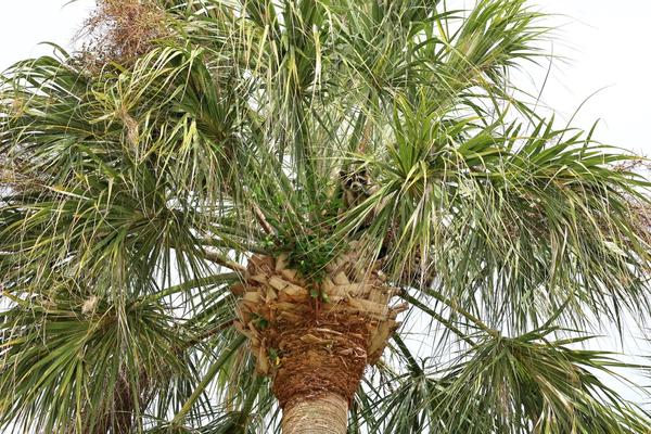 Customer photo 4 of 6. Click to open full size image.