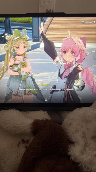 Customer photo 1 of 2. Click to open full size image.