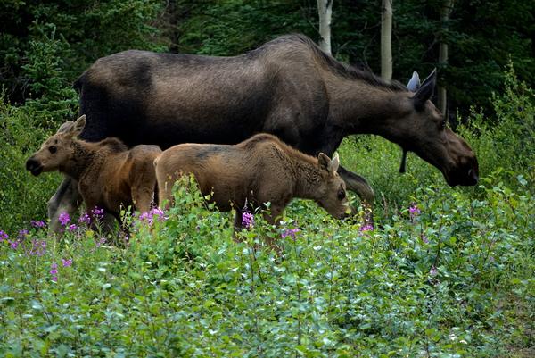 Customer photo 6 of 6. Click to open full size image.