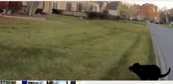 Customer photo 3 of 4. Click to open full size image.