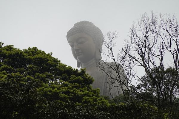 Customer photo 1 of 5. Click to open full size image.