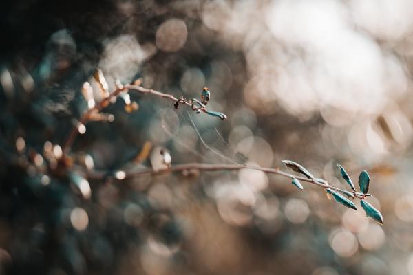 Customer photo 4 of 4. Click to open full size image.