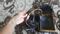 User submitted photo
