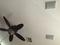 User submitted photo