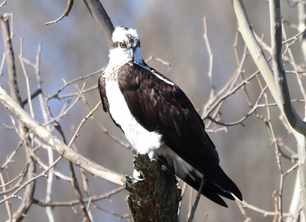 Customer photo 2 of 6. Click to open full size image.