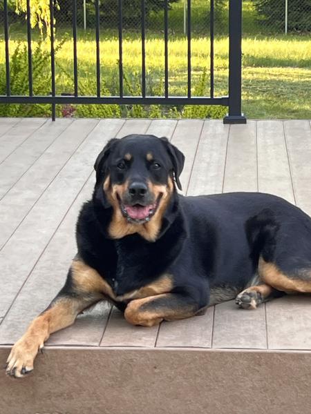 Customer photo 1 of 4. Click to open full size image.