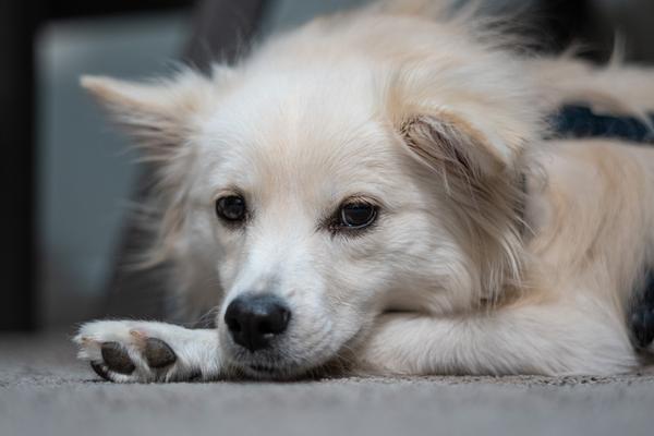 Customer photo 5 of 6. Click to open full size image.