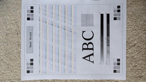 Customer photo 3 of 3. Click to open full size image.