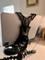 User submitted photo