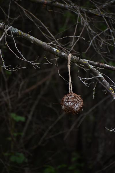 Customer photo 6 of 6. Click to open full size image.