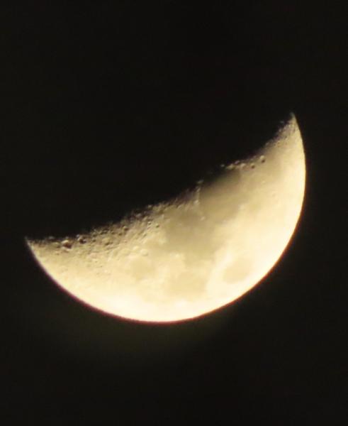 Customer photo 1 of 3. Click to open full size image.