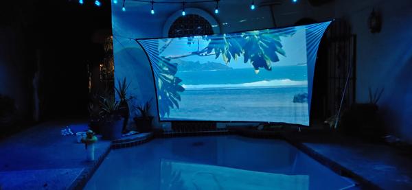 Customer photo 4 of 4. Click to open full size image.