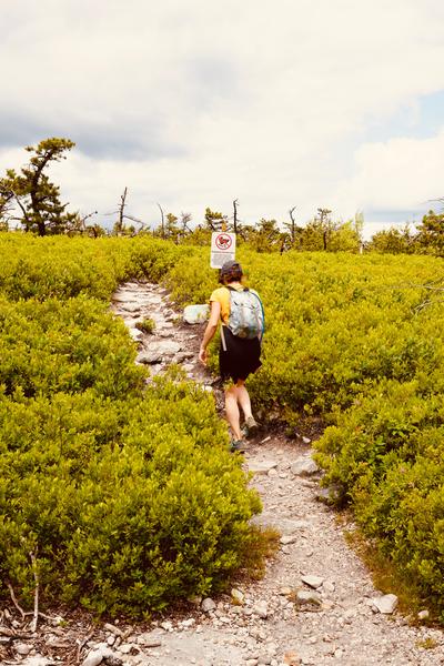 Customer photo 5 of 6. Click to open full size image.