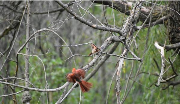 Customer photo 3 of 6. Click to open full size image.