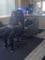 User submitted photo