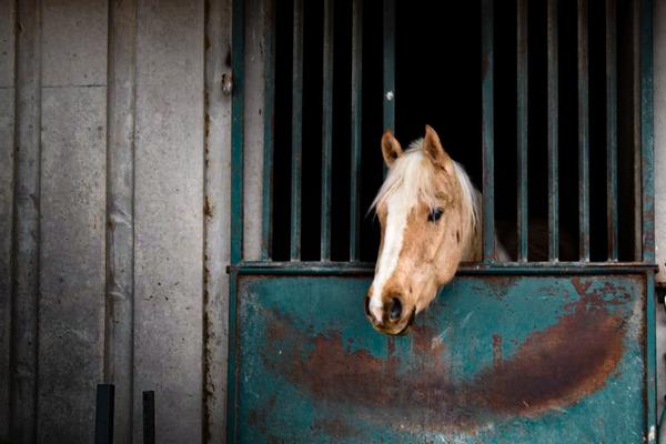 Customer photo 3 of 6. Click to open full size image.