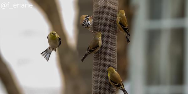 Customer photo 4 of 4. Click to open full size image.