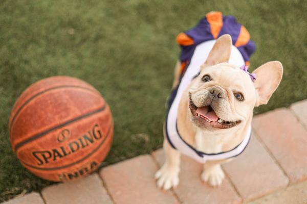 Customer photo 5 of 6. Click to open full size image.