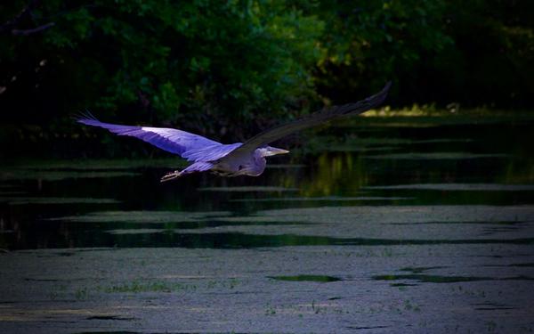 Customer photo 6 of 6. Click to open full size image.