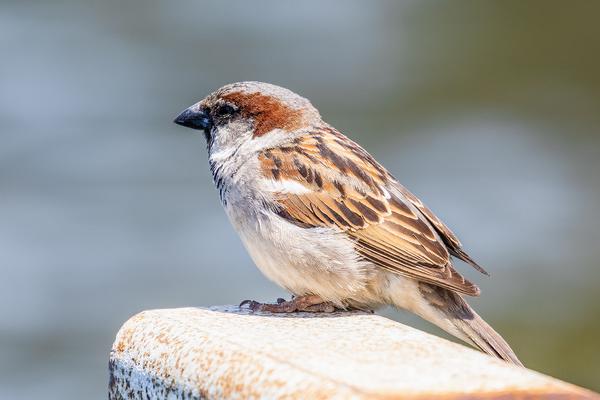 Customer photo 1 of 4. Click to open full size image.