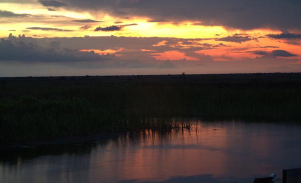 Customer photo 3 of 3. Click to open full size image.