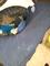 User submitted photo