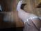 User submitted photo