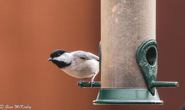 Customer photo 3 of 4. Click to open full size image.