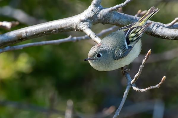 Customer photo 3 of 4. Click to open full size image.