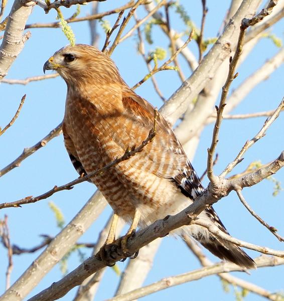 Customer photo 1 of 6. Click to open full size image.