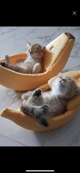 Customer photo 1 of 2. Click to open full size image.