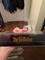 User submitted photo