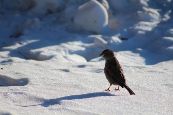 Customer photo 3 of 4. Click to open full size image.