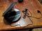 User submitted photo