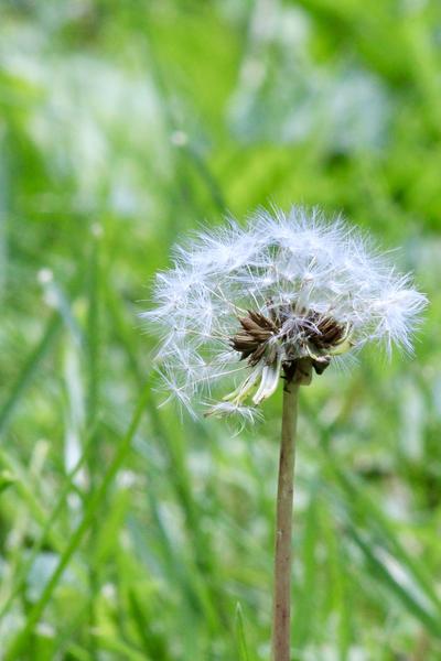 Customer photo 3 of 3. Click to open full size image.