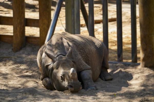 Customer photo 4 of 6. Click to open full size image.