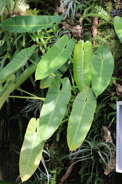 Customer photo 6 of 6. Click to open full size image.