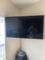 User submitted photo