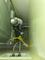 User submitted photo