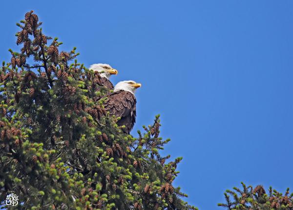 Customer photo 2 of 3. Click to open full size image.