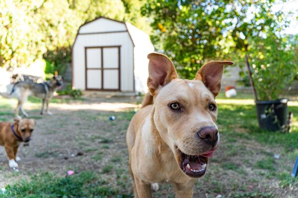 Customer photo 4 of 6. Click to open full size image.