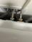 User submitted photo