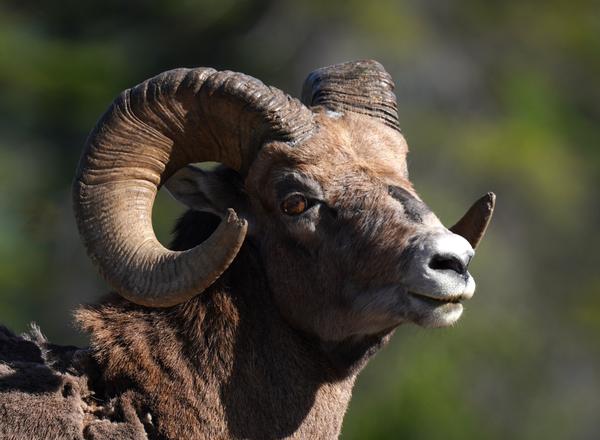 Customer photo 3 of 6. Click to open full size image.