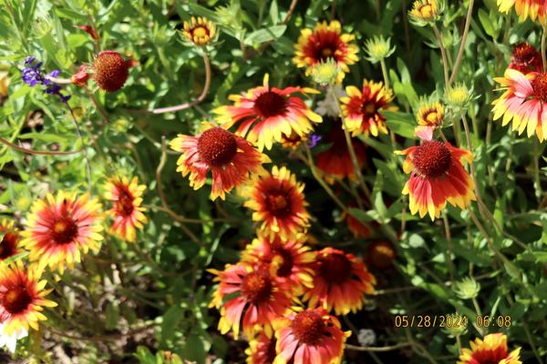 Customer photo 3 of 4. Click to open full size image.