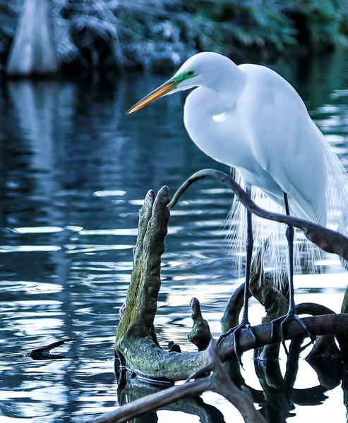 Customer photo 1 of 6. Click to open full size image.